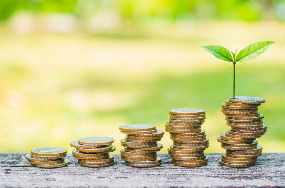 Stacked coins and budding plant.