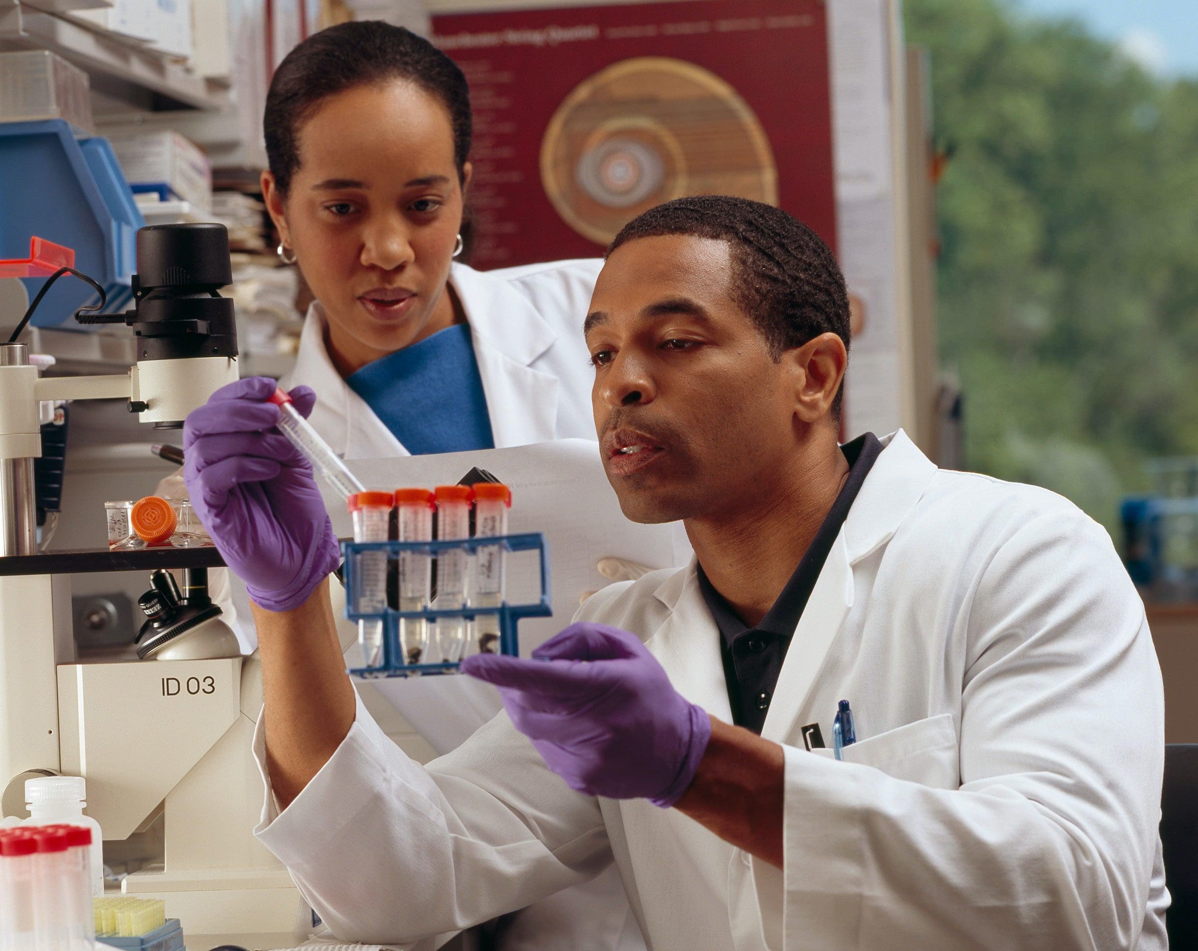 Researcher examine lab samples.